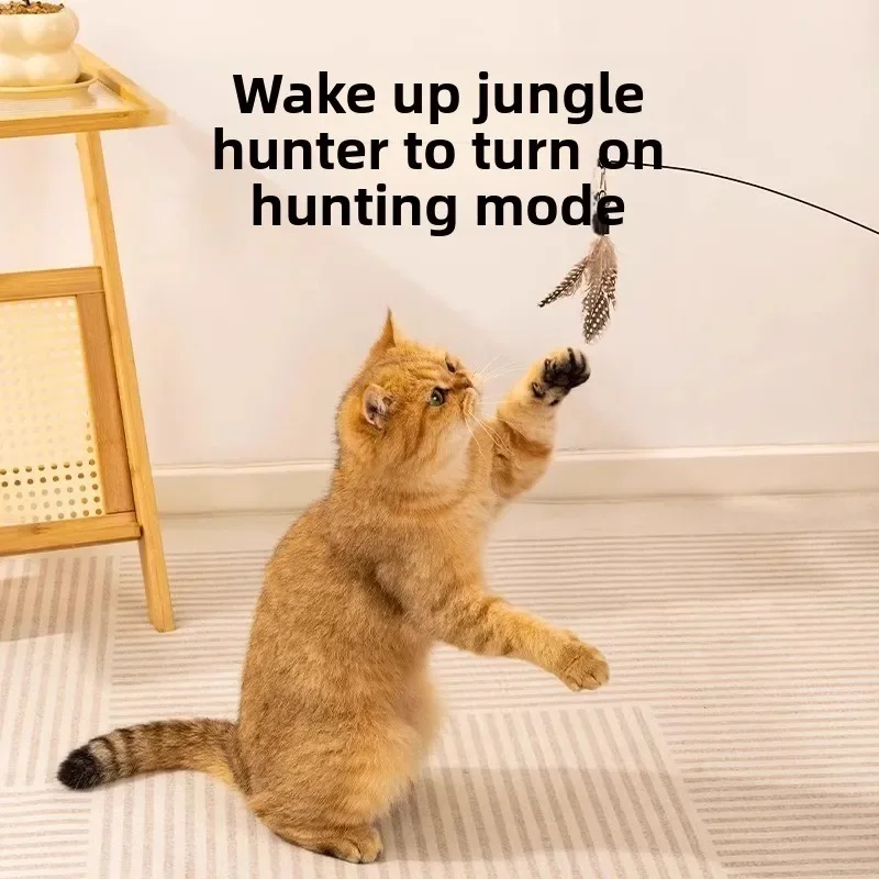 Katzen-Teaser-Zauberstab-Spielzeug, langlebiger Holzgriff, austauschbare Federköpfe, interaktiver Jagd, Spaß für Katzen, Kätzchen, Spielen ​ Katzenfeder T