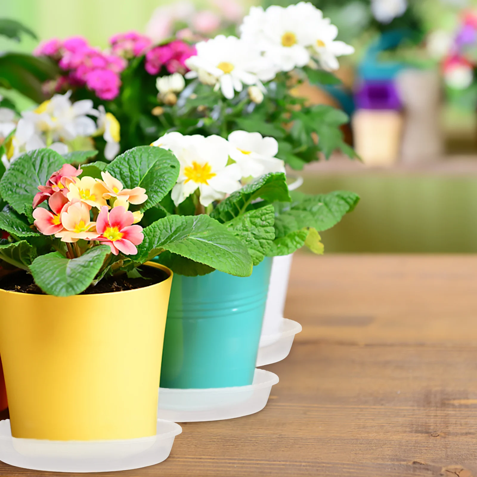 

5pcs Plastic Plant Pot Saucer Tray 16.5Cm Transparent For Bonsai Succulents Heat Resistant Non-Slip Waterproof Protection Garden