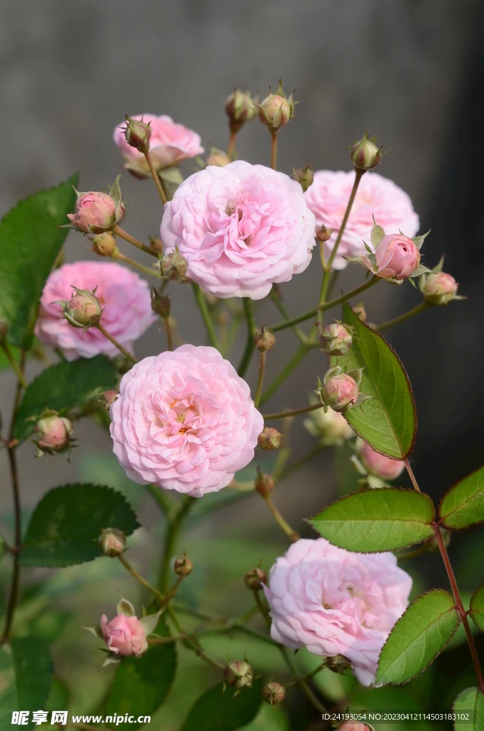 

Metal Upgrade Chassis Frame & Gearbox Mount for MN 1/12 Tank 300 MN300 RC Car Spare Parts