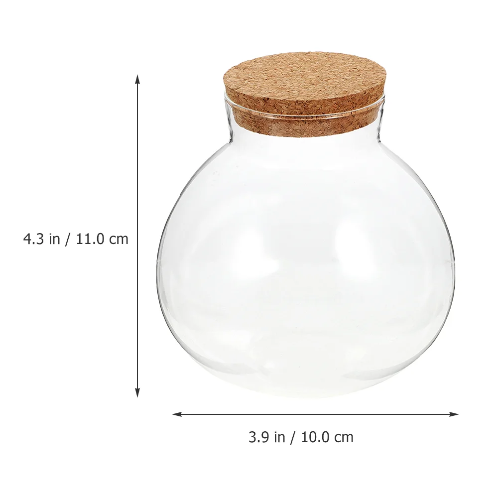 Food Containers with Lids Micro Landscape Planter Bottle Glass Ecological Decorative Landscaping