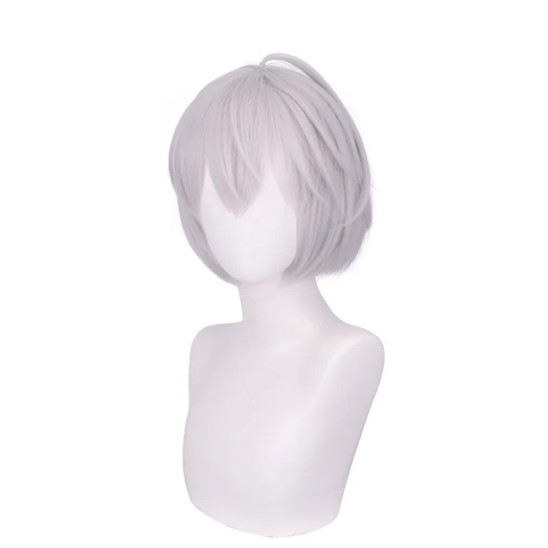 Parrucca Tokyo Revengers Rebirth Path Kizuna Akatsuki Parrucca Bob grigio argento Parrucca cosplay anime