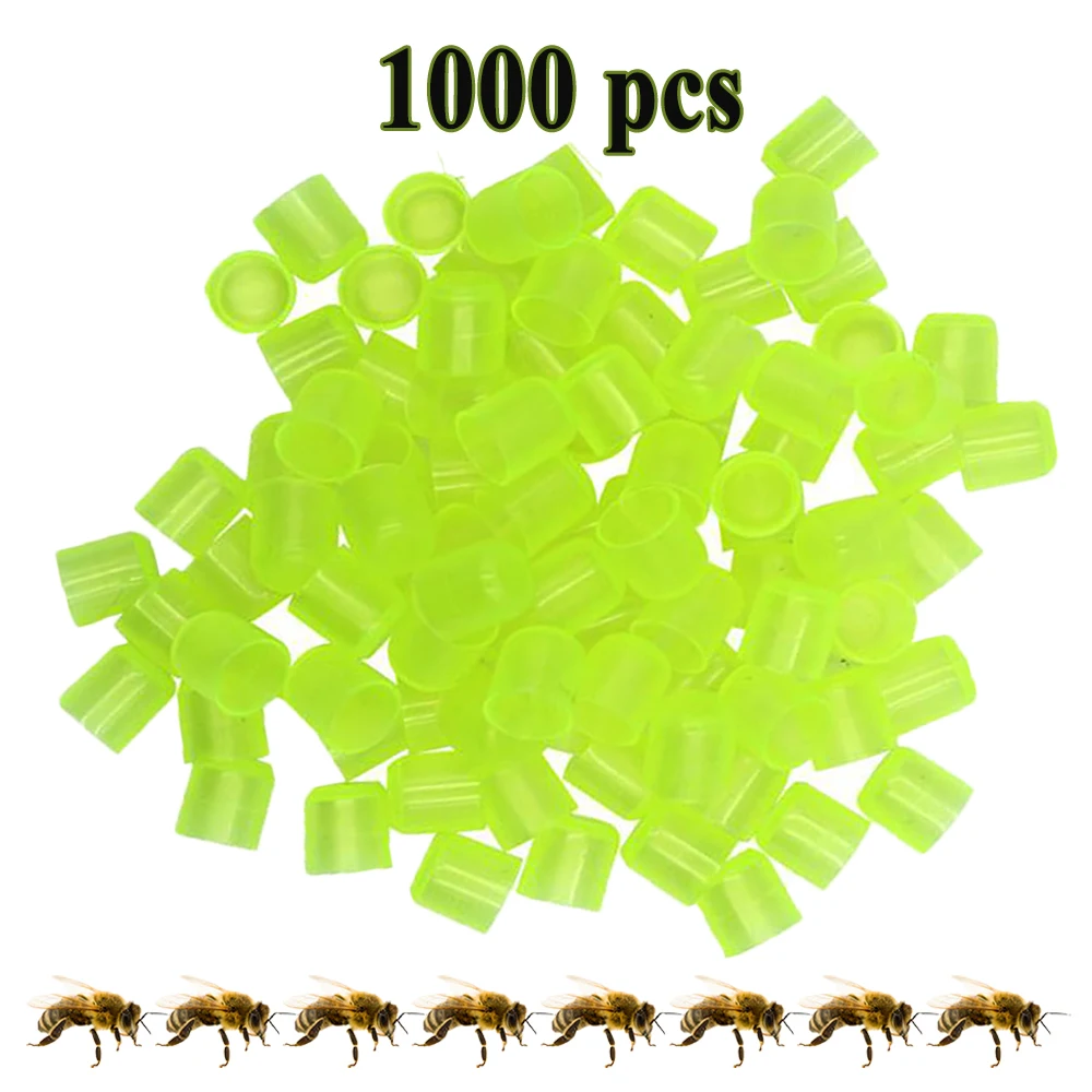 1000pcs/Bag Green Queen Cup Plastic Larva Royal Cells Artificial Rearing Transferred Egg Into Nicoplast Beekeeping Apiary Tools