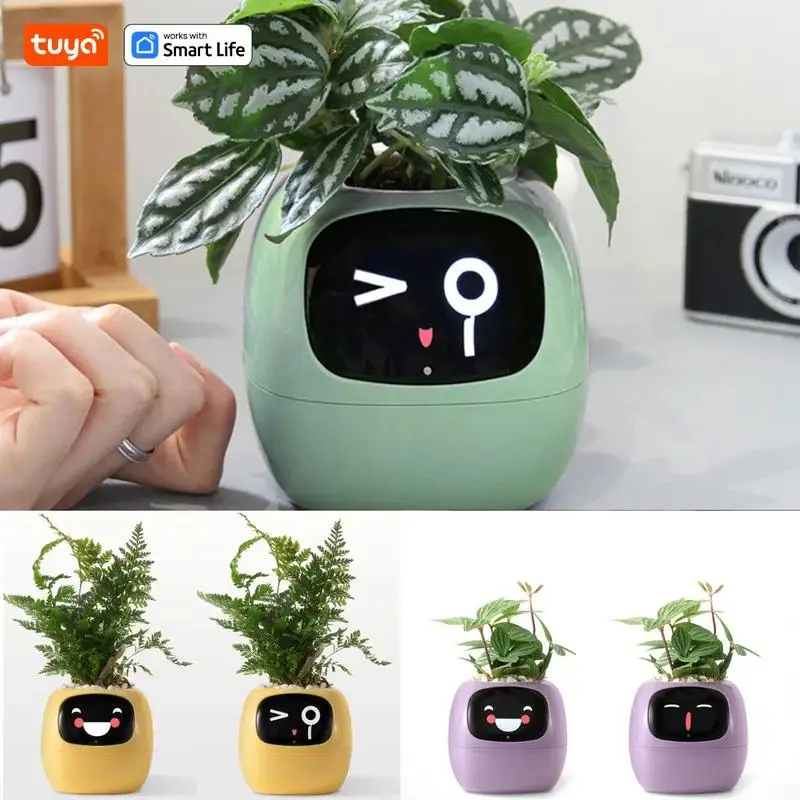 

New Plant Robot Pot Smart Planter Endless Fun Rich Expressions Smart Sensors AI Chips Make Raising Plants Easy And Fun 2024