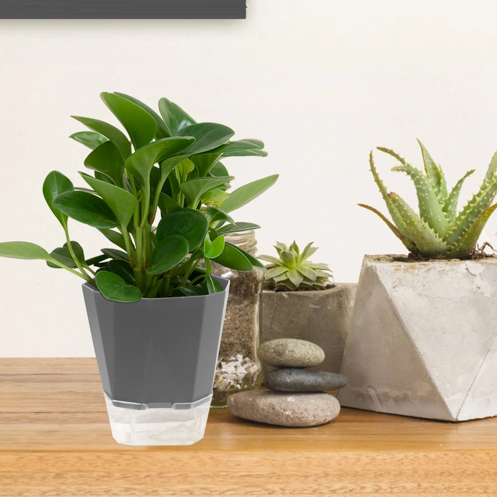 

3 set Self Watering Planter Flower Pot Water-Absorbing Rope Plastic Planters Double Layer Automatic Flowerpot Ventilated