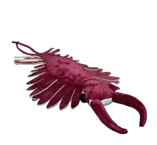 50cm  Original Paleontology Series Simulation Broom-shaped Anomalocaris Plush Toy Doll