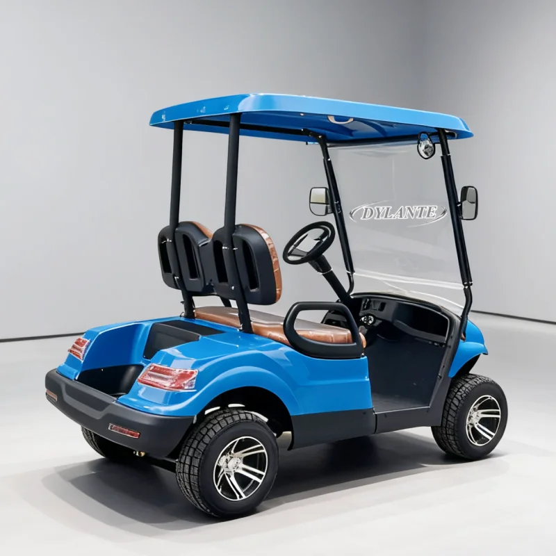2 Passengers Seaters Custom Color Electric Golf Car Golf Shuttle Golf Buggy Trolley Golf Utility Golf Cart with CE