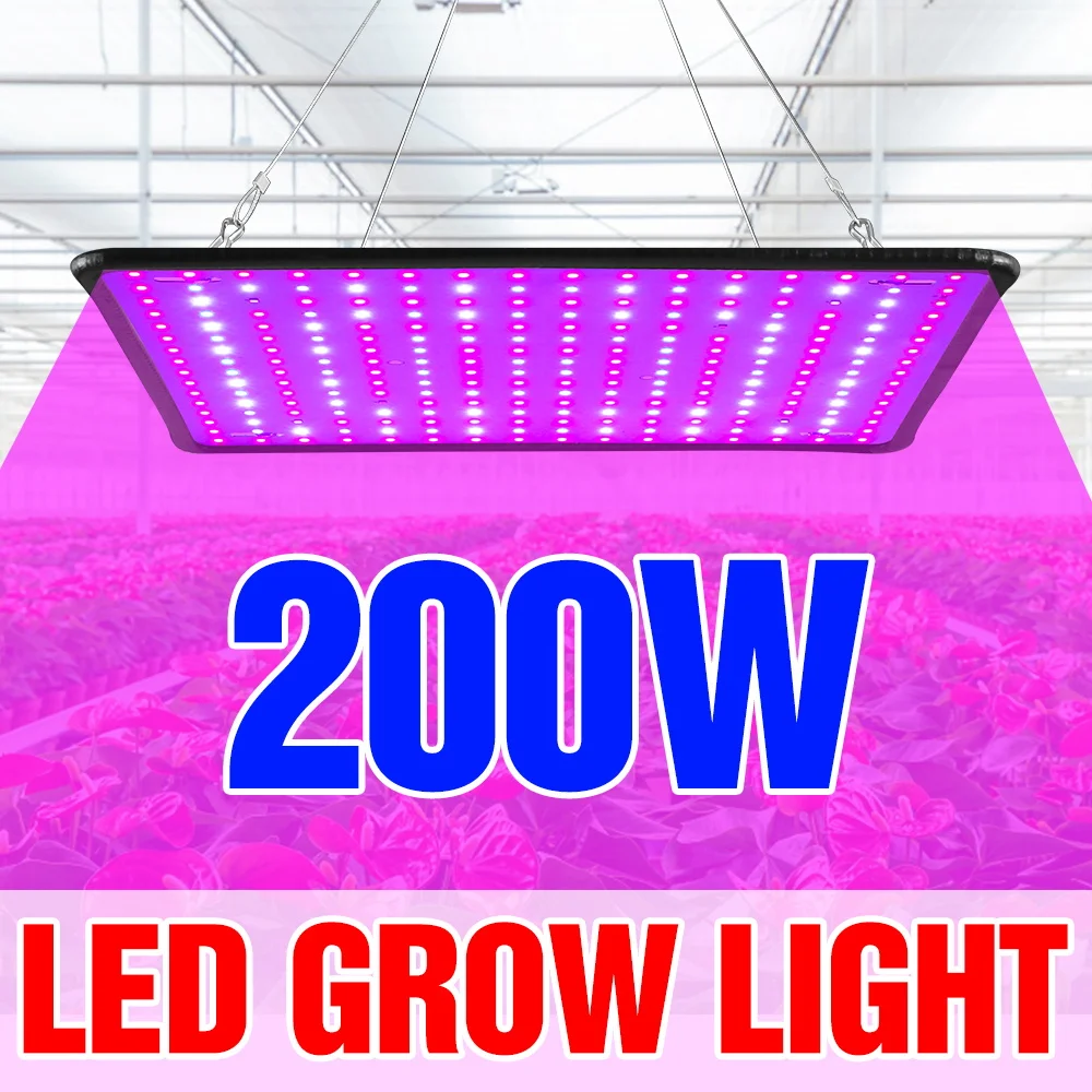 

200W LED Grow Light Full Spectrum Quantum Board Plant Cultivation Lamp For Indoor Potted Flower Greenhouse Tent Cactus Succulent