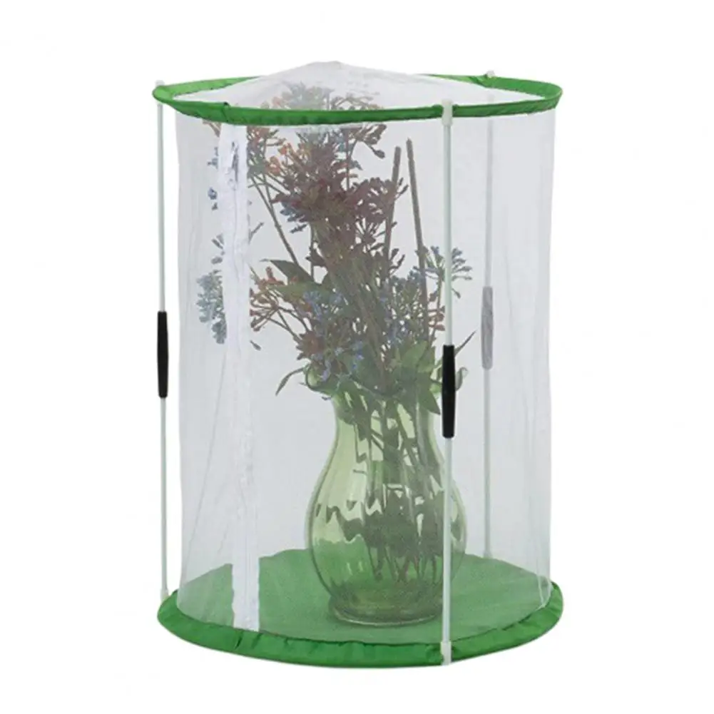 Observation Cage Butterfly Habitat Mini Greenhouse Cage Portable Cylinder Shape Butterfly Tent Sturdy for Indoor for Plants