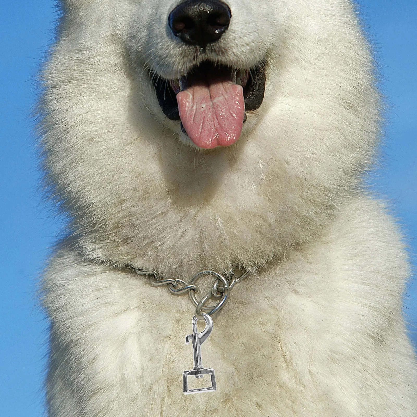 

4Pcs Metal Dog Leash Clasp Zinc Alloy Snap Hook Swivel Connector for Pet Leashes Bags Pet Restraint Connectors