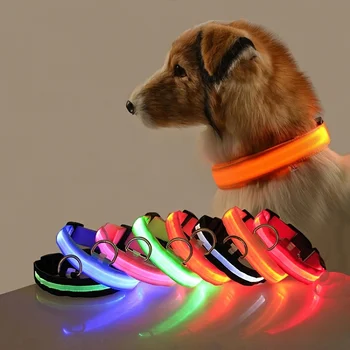 LED Glow Dog Leash 1