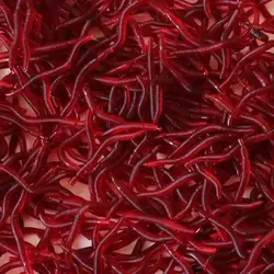 50PCS Lifelike Red Worm Soft Bait Smell Shrimp Odor Artificial Silicone Fishing Lure Bass 3.5cm Simulation Earthworm Takcle