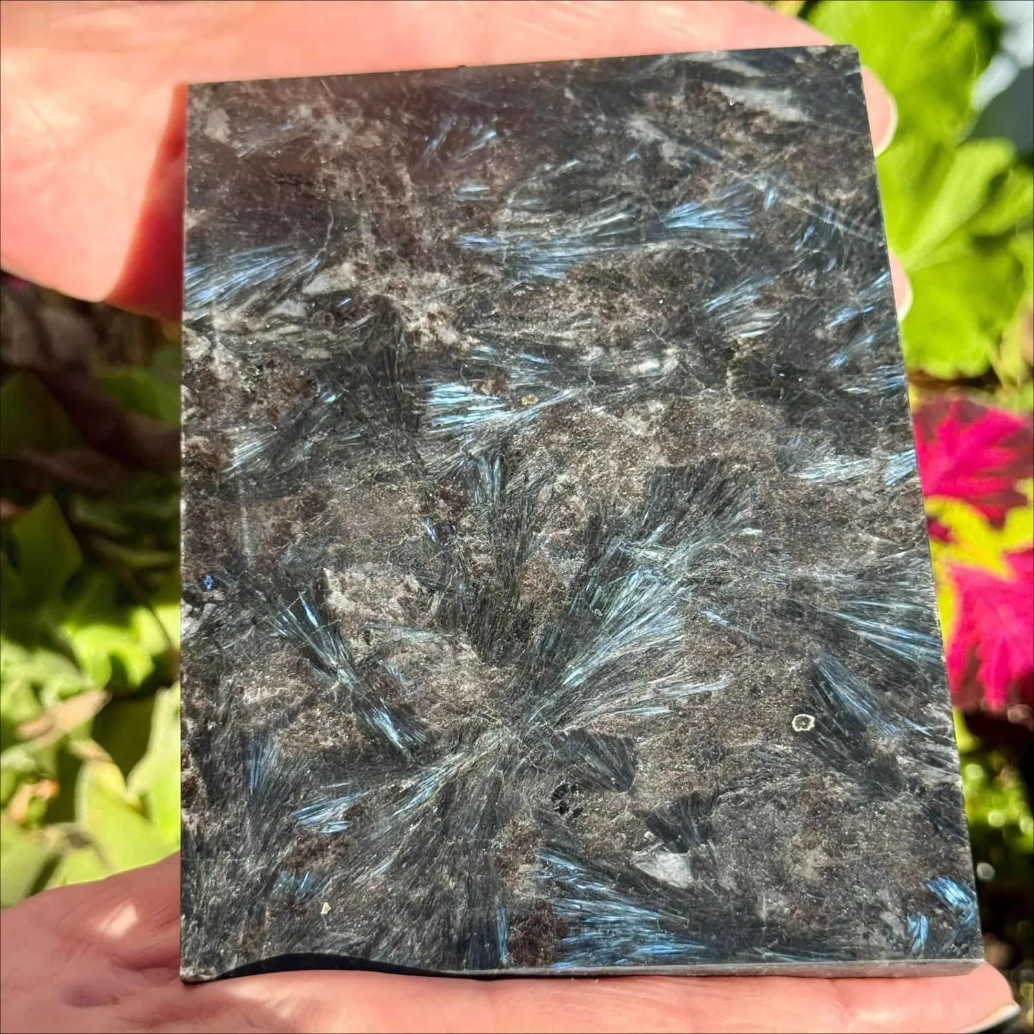 Astrophylite Firework Stone Slice, Deep Black & Yellow Ray Crystal in Square Cut, Mineral Decoration for Home Office Tabletop