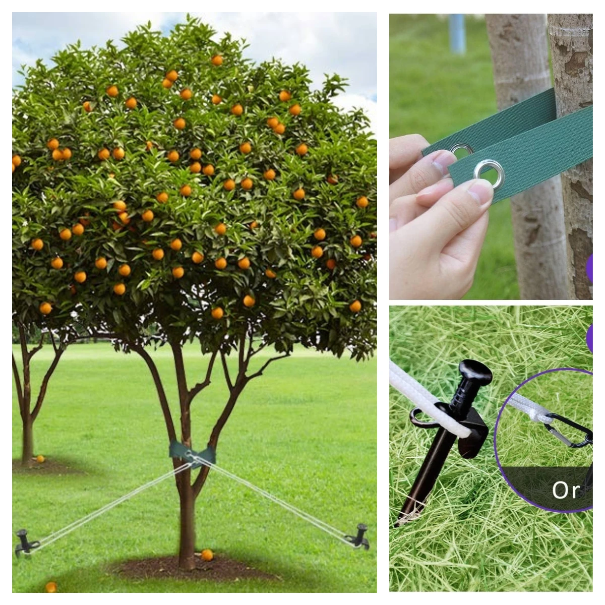 7-14 Piece Heavy Duty Steel Tree Stake Kits, Staking Support for Young Trees Against Wind, Include Straps and Rope for Anchoring