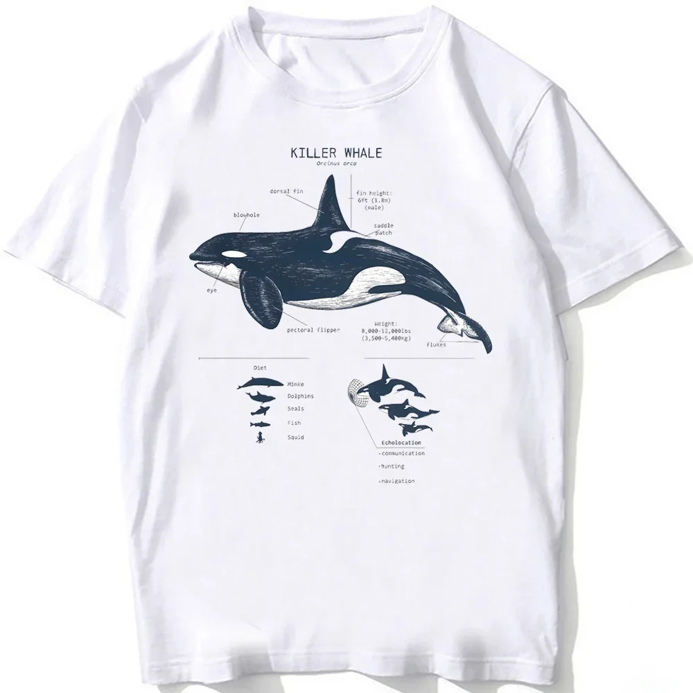 Women Beach Diving White Tshirt Vintage Whale Shark Anatomy Biology T-shirt Women Casual T Shirts Aesthetic Clothes