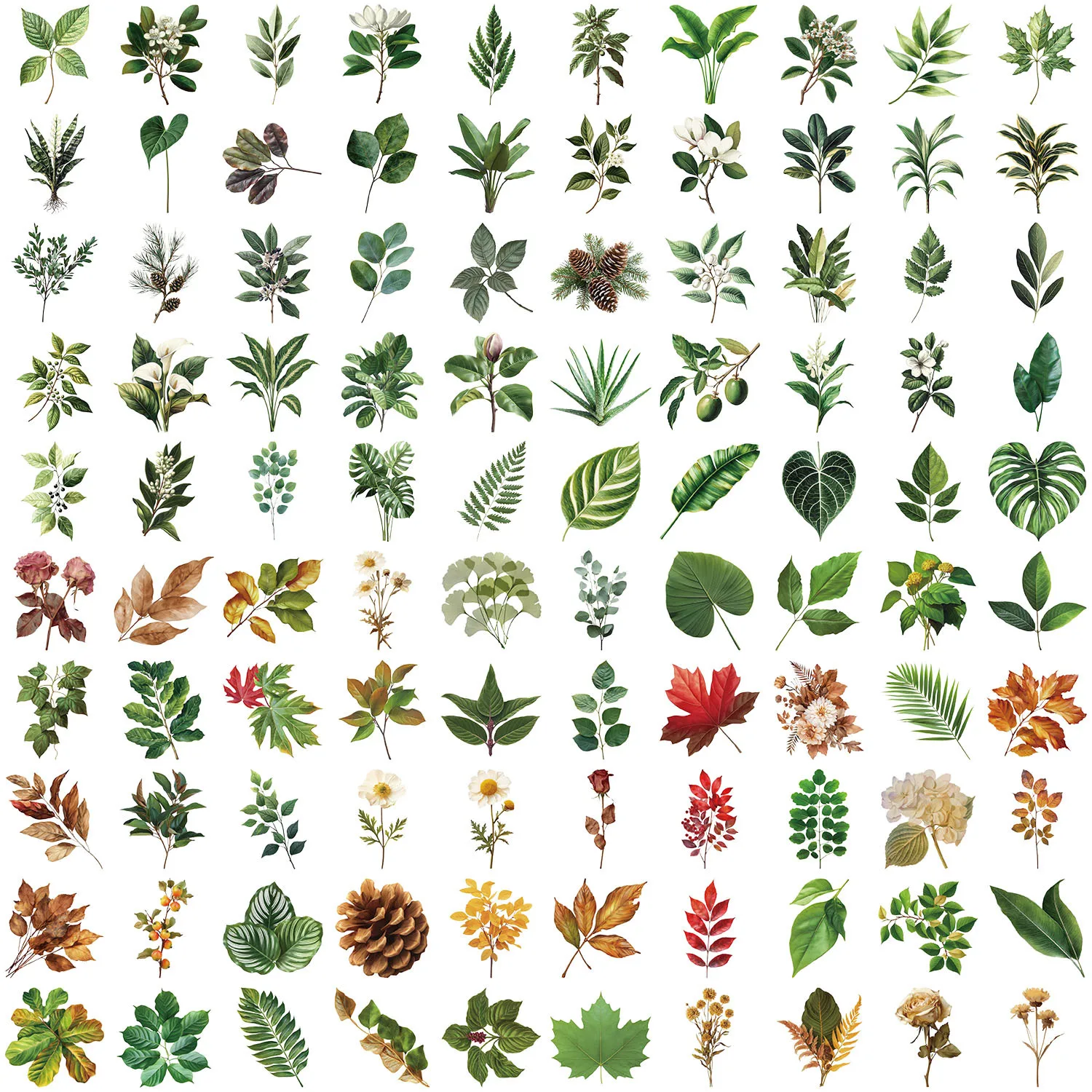 100PCS Green Plant Leaf Stickers DIY for Decor Phone Guitar Stationery Box Notebook Transparent PET Stickers