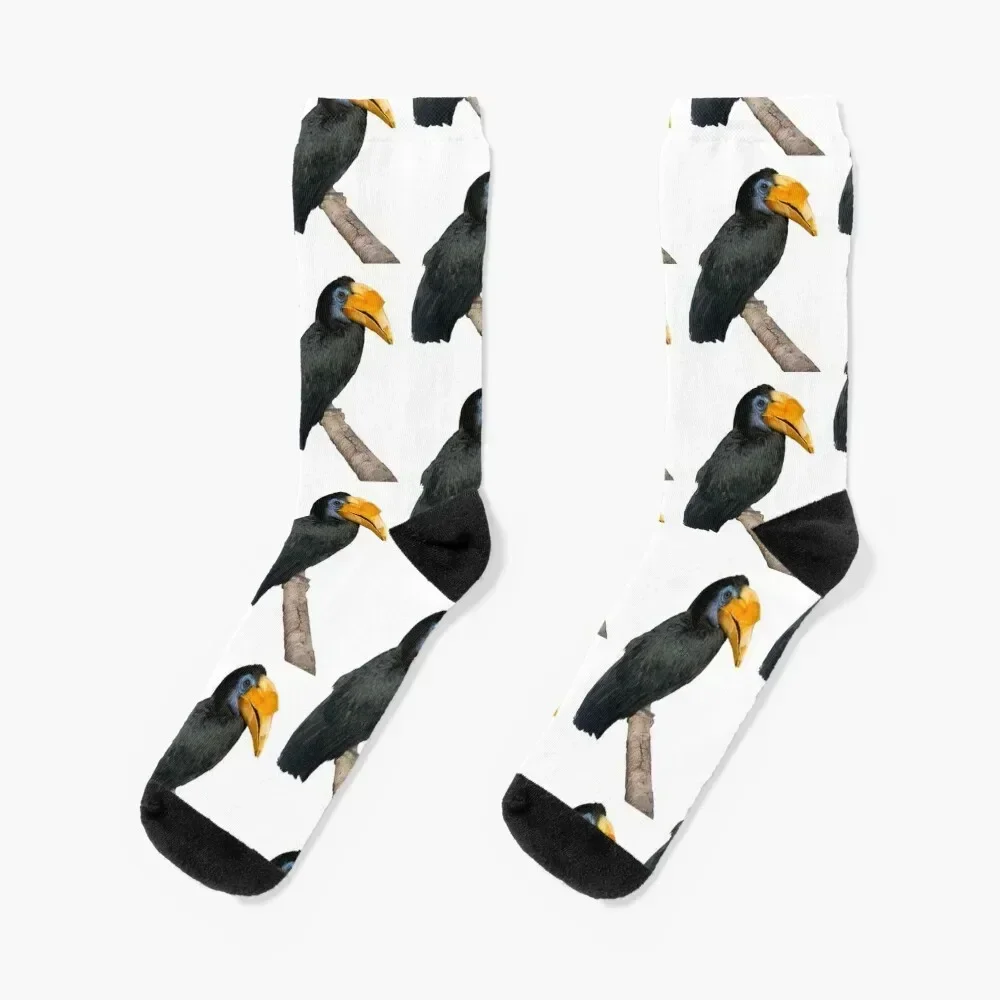 Princess Pilai, Wrinkled Hornbill Royalty Socks compression Hiking boots cool funny gift Socks For Man Women's