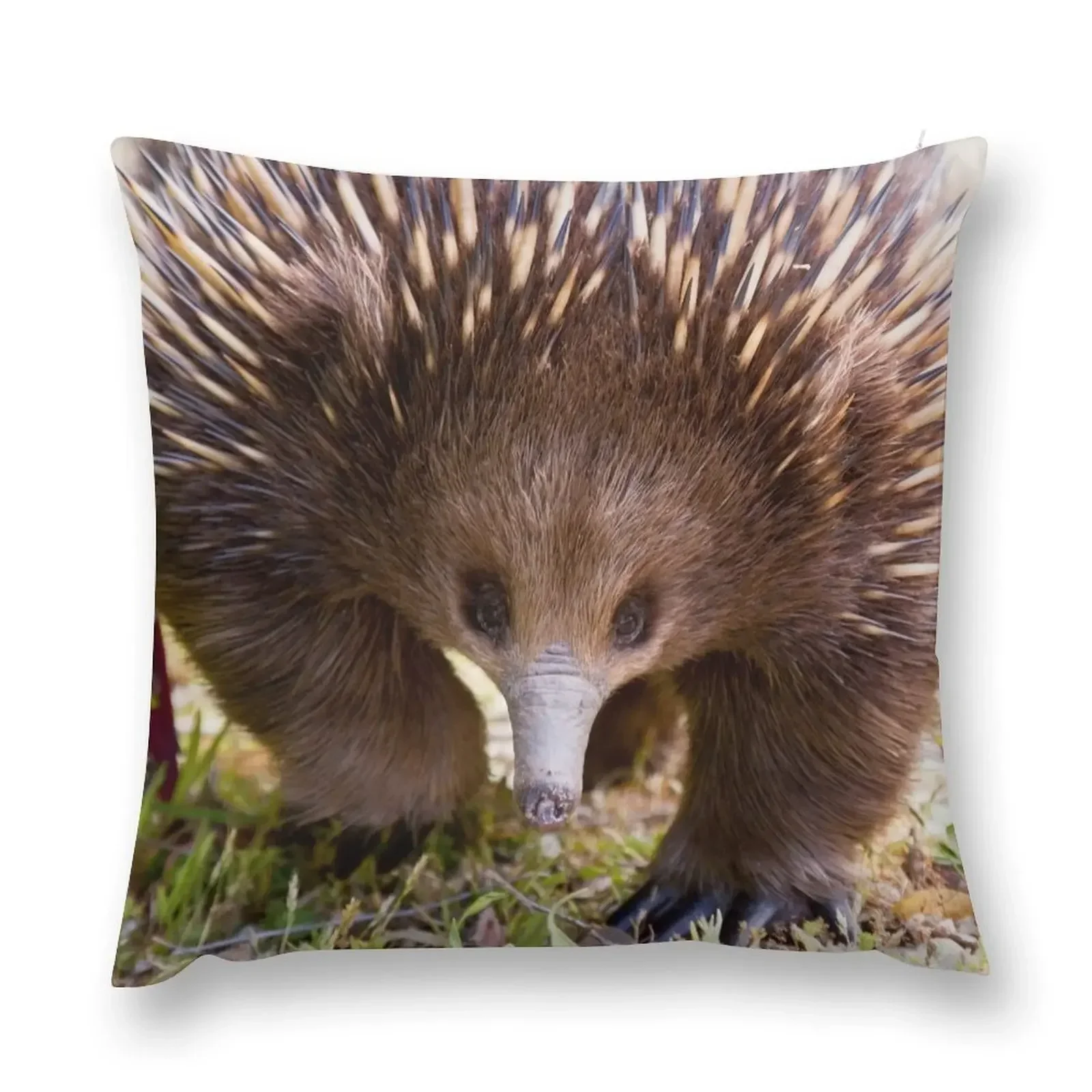 Echidna Prowl Throw Pillow pillow cover luxury Pillow Cases Decorative Pillowcases For Pillows sleeping pillows