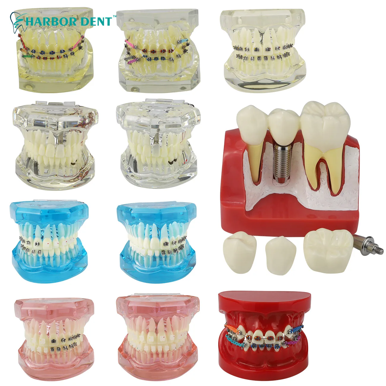 14 Styles Dental Model Teeth Teaching Model Dentist Typodont Orthodontic Jaw Model For Studying Dentistry Products Accessories