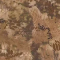 Desert 2