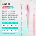 L  NS 02