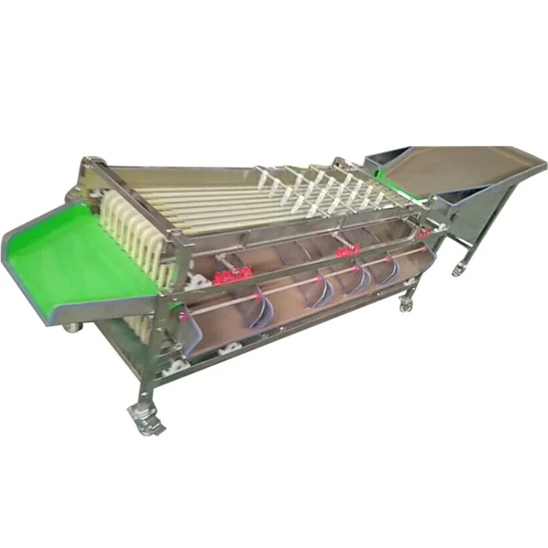 Electric Potato Apple Fruit Grading And Sorting Sorter Machine