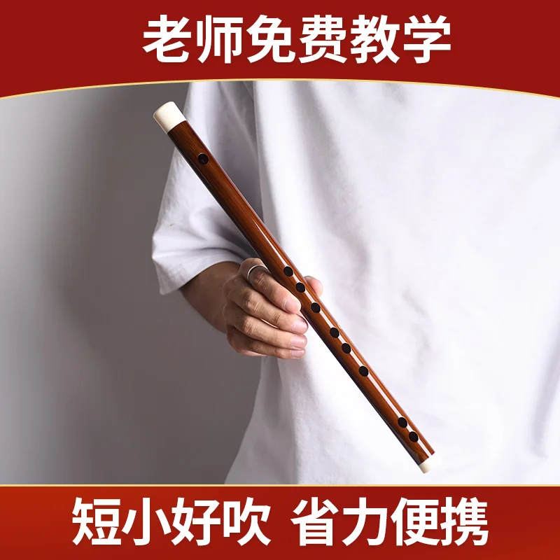 No Film Hole Bamboo Flute Short Flute Portable Small Musical Instrument GF Tuning Beginner Professional Performce Flute Ancient