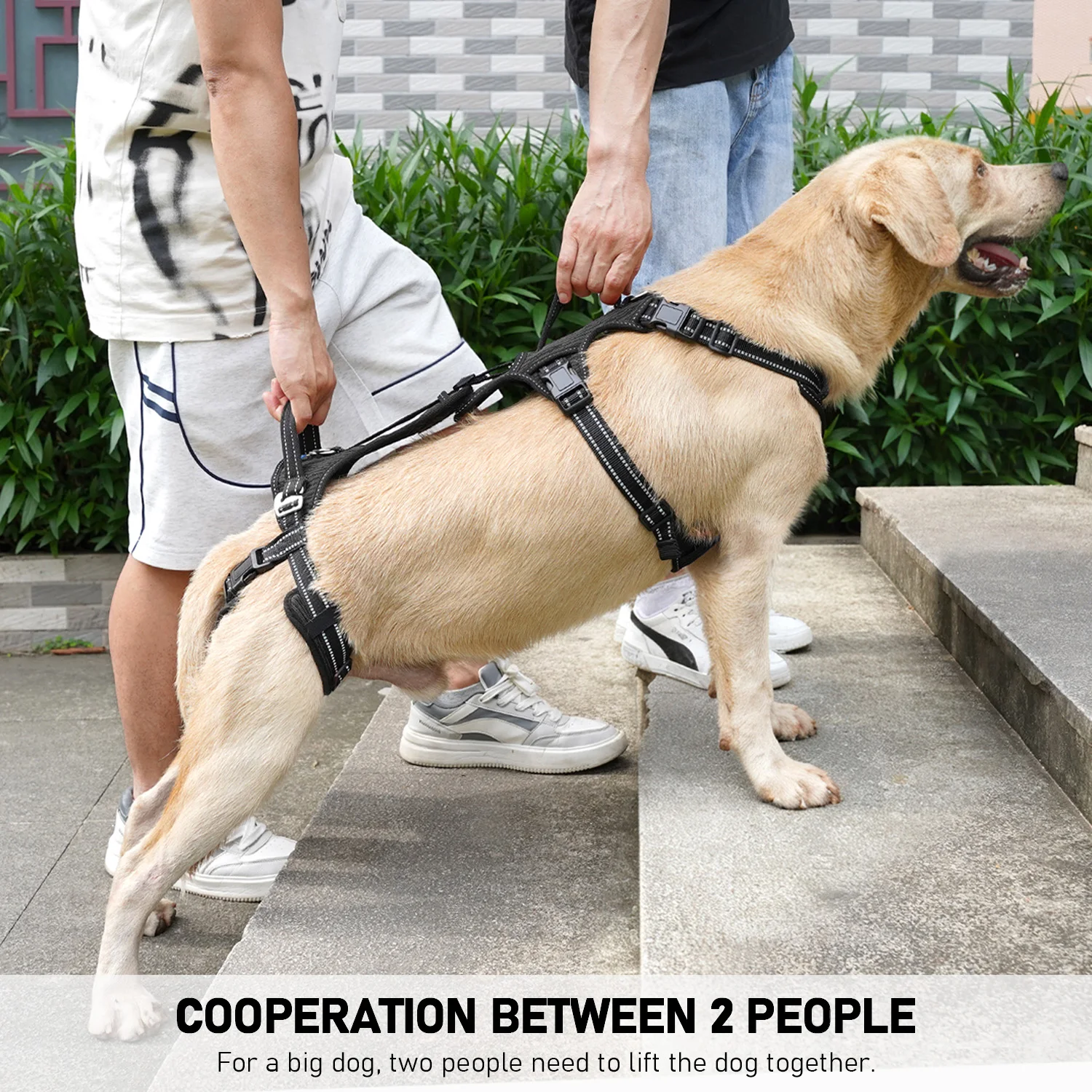 Thumbnail 4 - #62 Best Pet Carriers to Buy In 2026
