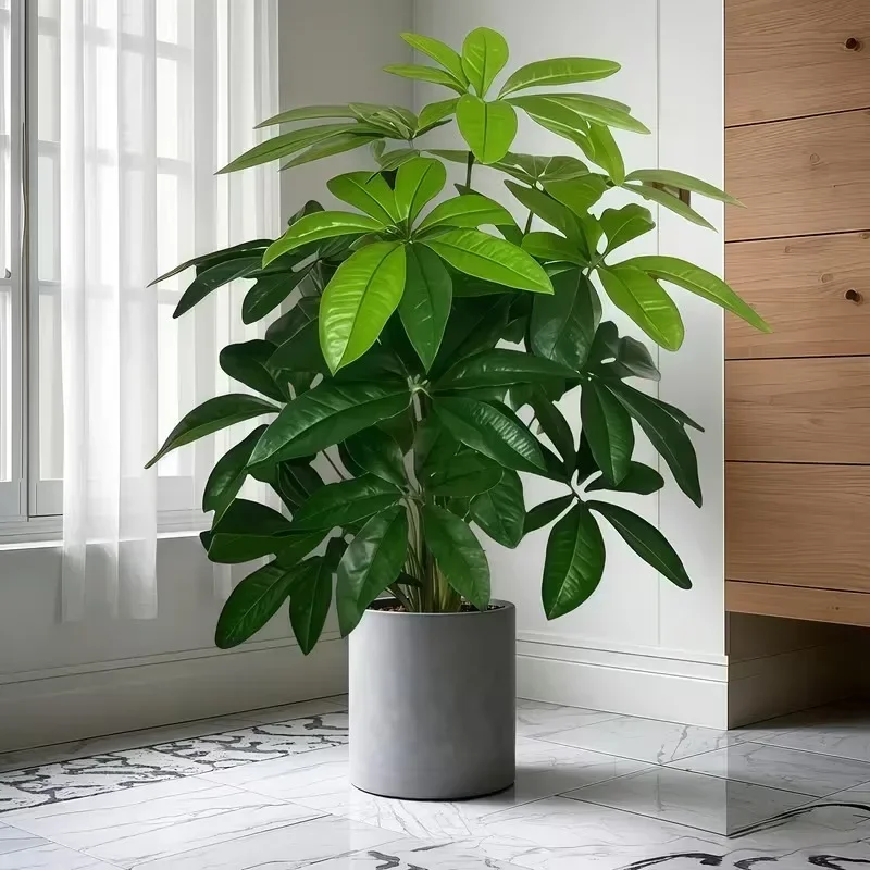 

Искусственное дерево удачи высшего качества, водонепроницаемое пластиковое растение для сада и декораций для фотосъемки