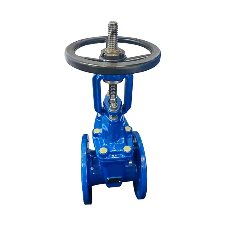 Electric Rising Stem Ductile Iron Sluice Gate Valve for & Water Applications