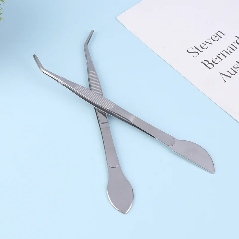 مشط جذور من الفولاذ المقاوم للصدأ 2 في 1 304 مع ملاقط بونساي مع مقبض مريح أداة زراعة التربة لصناعة العصارة