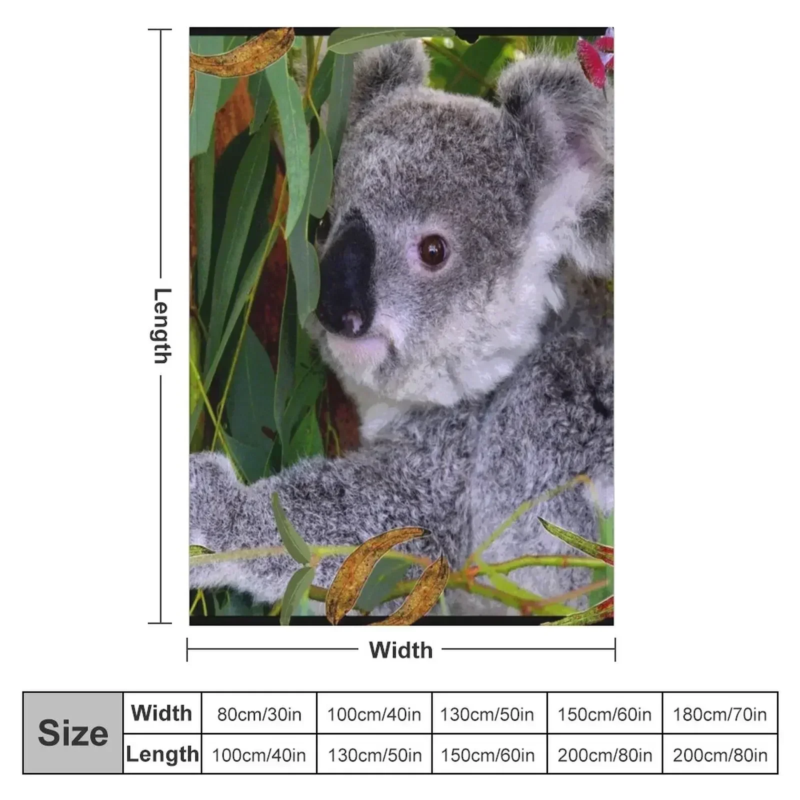 New AUSTRALIAN KOALA, BIOPHILIC ART Throw Blanket couch cozy soft plush fuzzy picnic outdoor blanket