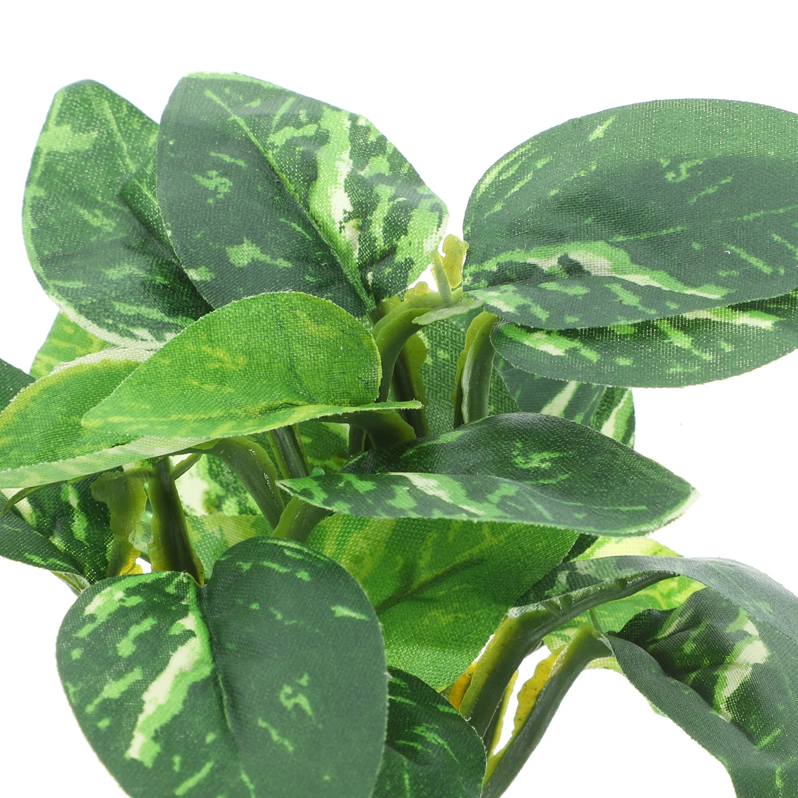 

For Fish Tank, Safe Plastic Fake Aquarium Plants, Realistic Small Aquatic Decor, Fresh Salt Water Compatible, Durable