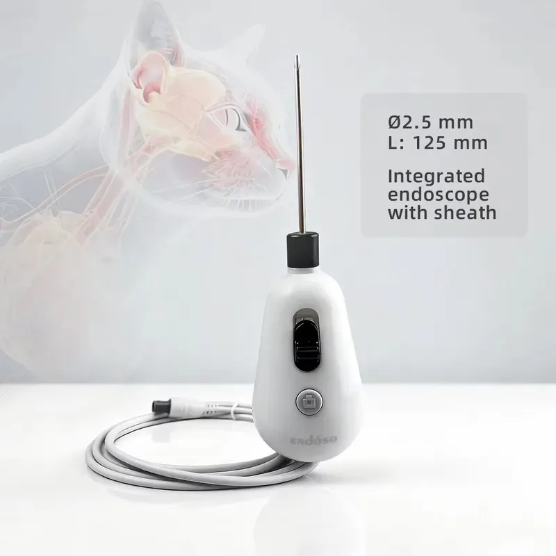 Reusable Veterinary Endoscope 2.5mm for Pet , Ear Nasal Minimally Invasive Surgery