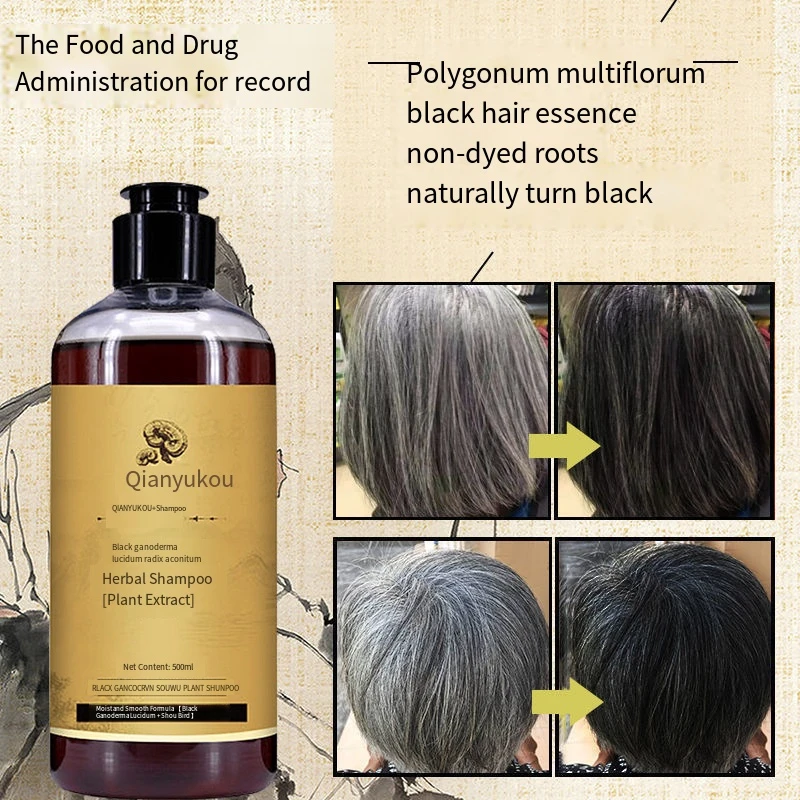 Shampooing à base de plantes Ganoderma Lucidum Polygonum, contrôle de l'huile, réparation des pellicules, soin des cheveux blanc à noir, 500ml