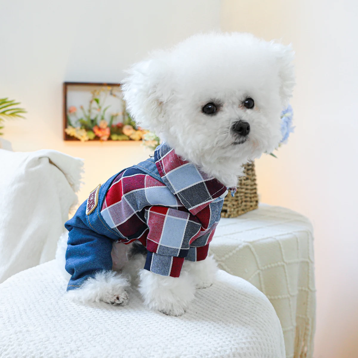 1PC Pet Clothing Spring and Autumn Handsome Cowboy Knight Four Legged Strap Pants Suitable for Small and Medium sized Dogs