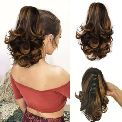 Garra rabo de cavalo em extensões de cabelo ondulado, curto encaracolado rabo de cavalo, onda natural acessórios para o cabelo para mulheres e meninas, uso diário, 12 em