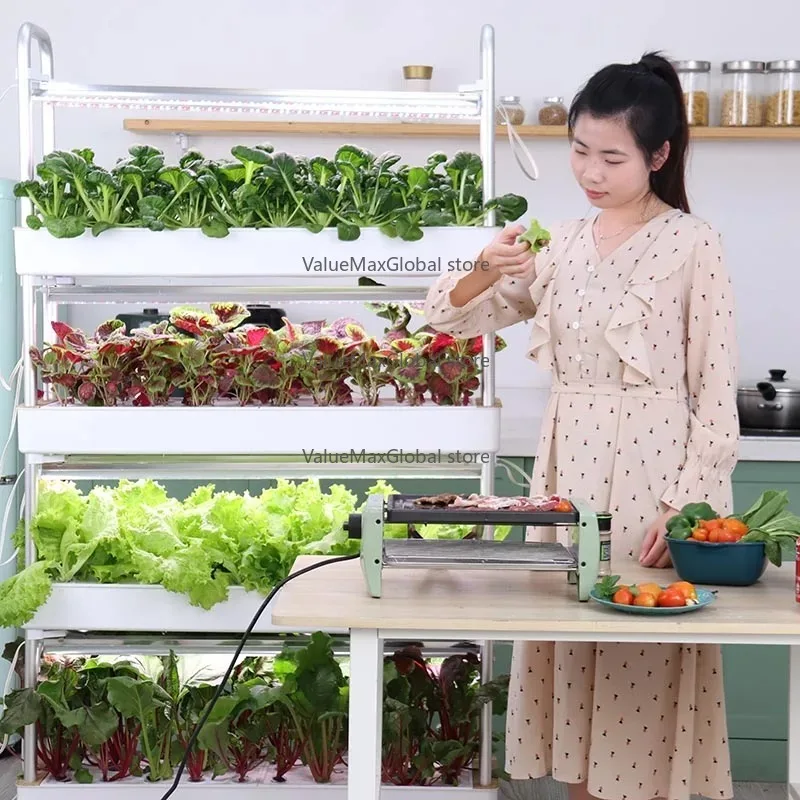 نظام الزراعة المائية العمودي لنمو الخضروات - الري التلقائي Aquaponics (مجموعة كاملة للحديقة المنزلية) #3