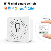 16A Mini Wifi Switch DIY Smart Home 2-way Control Relay Smart LIfe APP Control Remotely Timer Works With Alexa Google Home