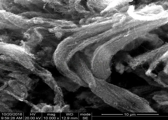 

COF&N1,N3,N5-tris(4-aminophenyl)benzene-1,3,5-tricarboxamide