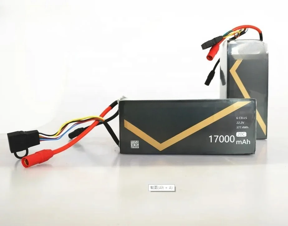 Big Lipo Battery 6S…