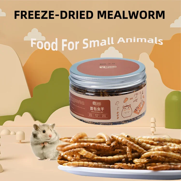 

Fish Food Dried Mealworms 100%Pure Natural Bulk Wholesale Nirds Fish Small Pet Food
