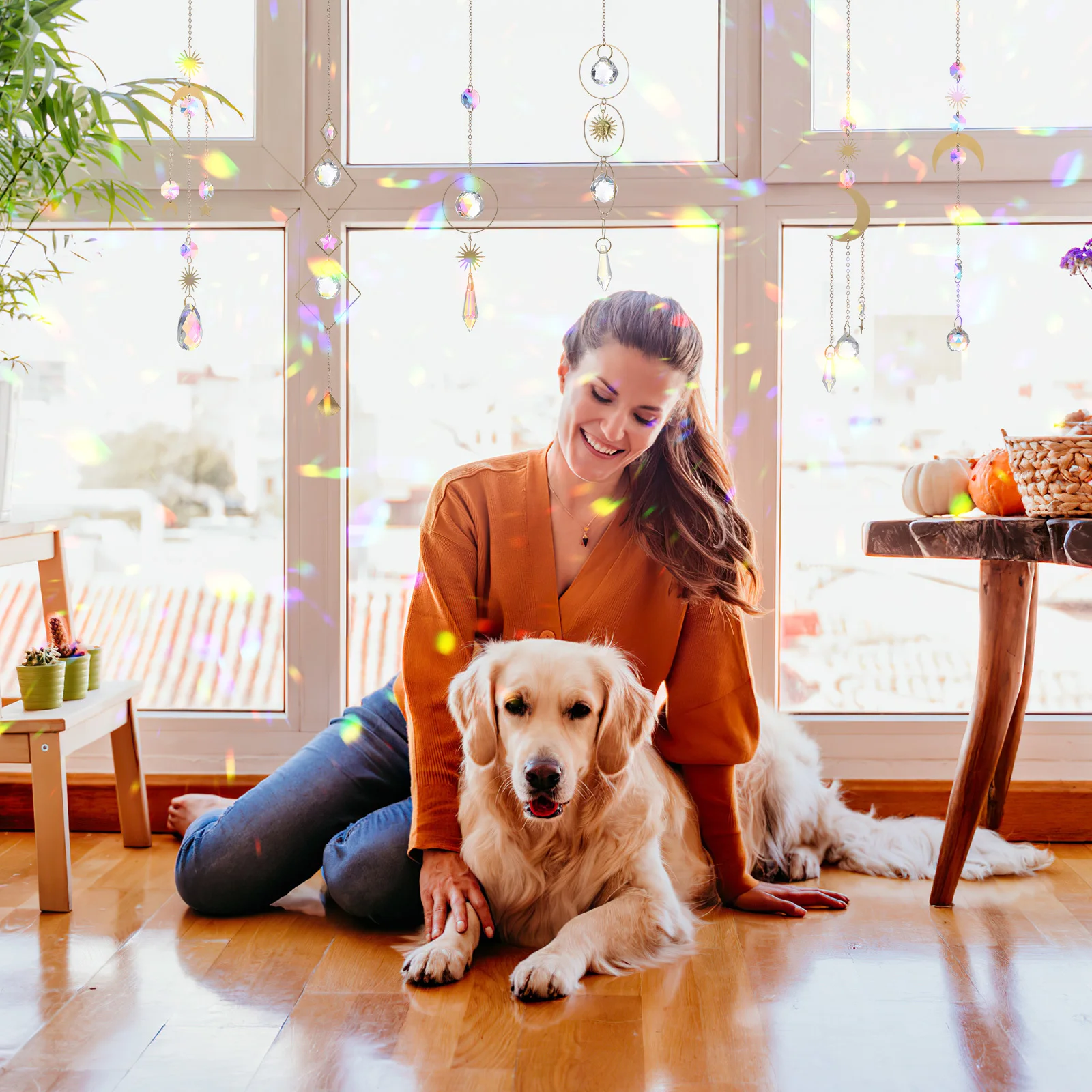 

6Pcs Crystal Suncatcher Hanging Decor for Windows Sun Catcher Rainbow Pendants Indoor Outdoor Garden Living Room Decoration