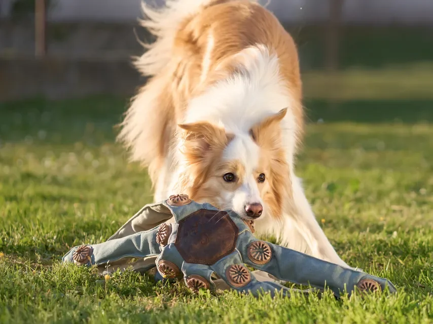 Oktopus-förmiges Hundespielzeug mit 24 Leckerli-Taschen Gehirnstimulierender Langeweile-Killer für Hunde – Detail 15