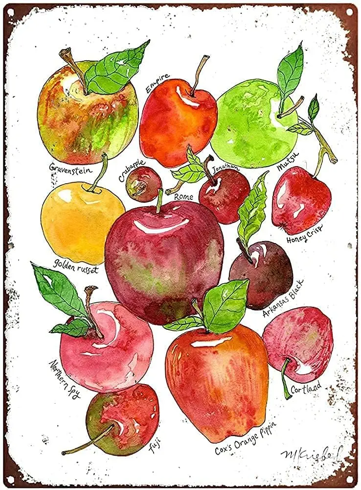 Krouterebs-letrero de hojalata de Metal, grandes tipos de manzanas de la cosecha de otoño, cocina, Pub, novedad, cafetería, Bar, Club, póster de pared de 12x8 pulgadas