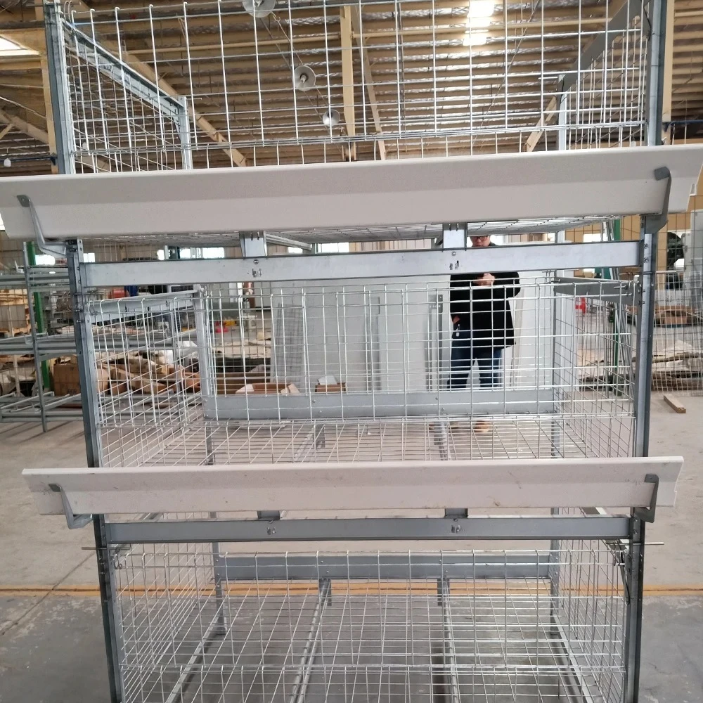 Typ Schicht-Hühnerkäfig zum Verkauf in Pakistan