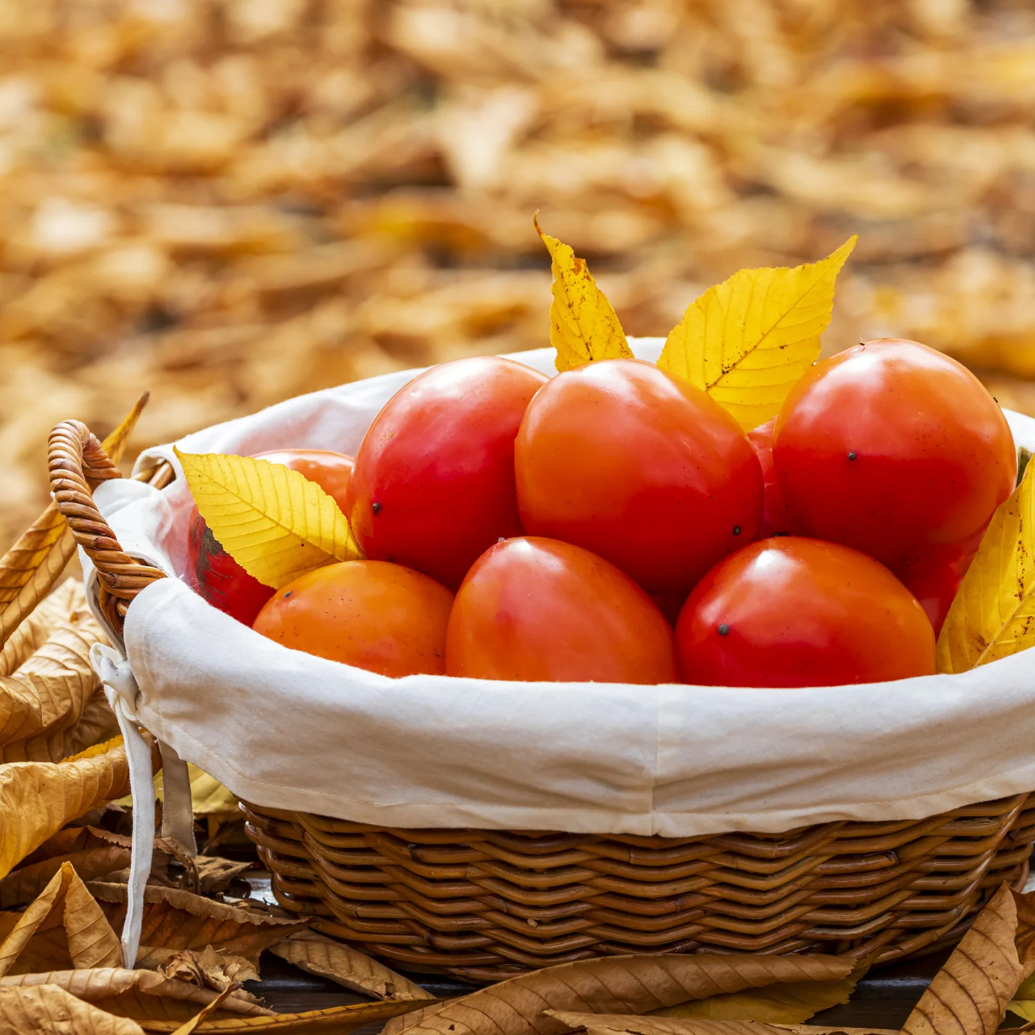 ديبونج البرسيمونز