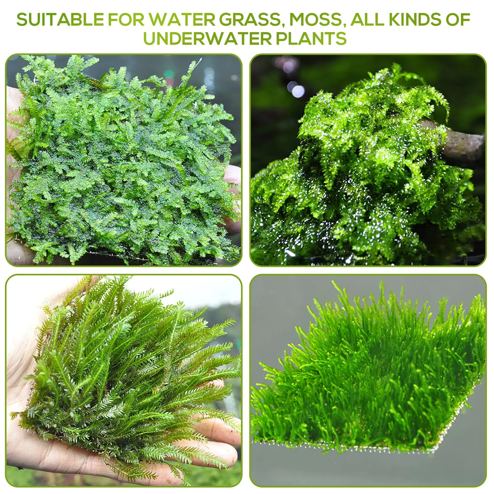 

moss meshmoss mesh wallmoss mesh Kit Aquatic Plants Mesh floor mesh