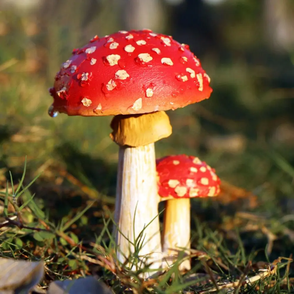 

1pc Red Miniatures Mushroom DIY Decoration Crafts Mushroom Resin Statue Figurine Outdoor Bonsai Ornament Fairy Flowerpot Plants