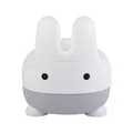 Gray Bunny