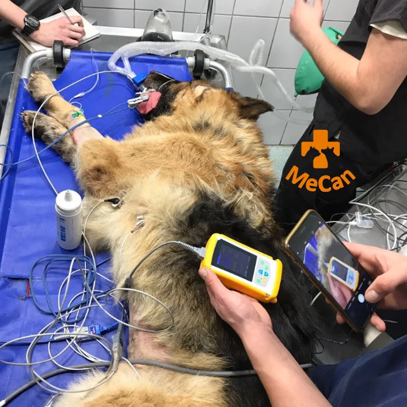 Veterinary Pets Fingertip Pediatric Pulse Oximeter Finger Handheld Vet Oximeter